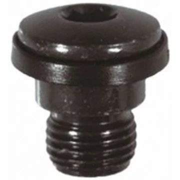 Shimano váltótartó csavar imbuszos M10-es menettel Y5PJ98020