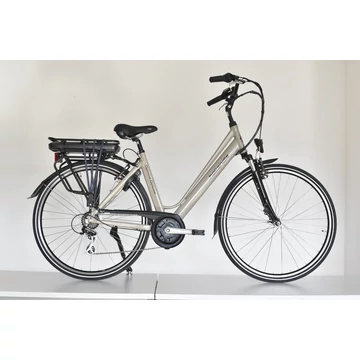 Neuzer Hollandia Optima Deluxe ebike 28"-as, alu, 36V/250W középmotor, 13Ah Li-ion akku, v.barna 19"