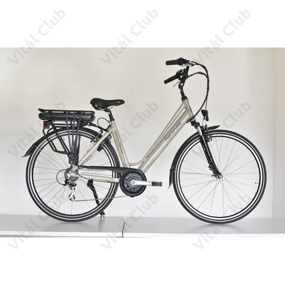 Neuzer Hollandia Optima Deluxe ebike 28"-as, alu, 36V/250W középmotor, 13Ah Li-ion akku, v.barna 19"