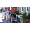 Kép 3/3 - Hamax Avenida Twin gyermek szállító utánfutó, 2gyermeknek, 45kg terhelhetőség, időjárás álló boritás, szürke/kék